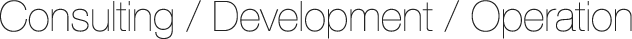 Consulting / Development / Operation